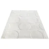 Moving Circle Rug (2 x 2.4 M)