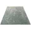 The Green Rug (2 x 2.4 M)